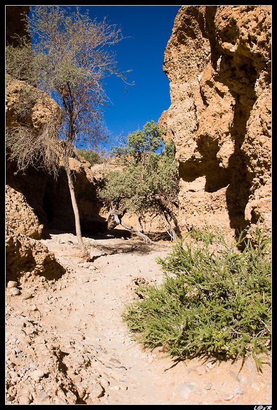 Sesriem Canyon