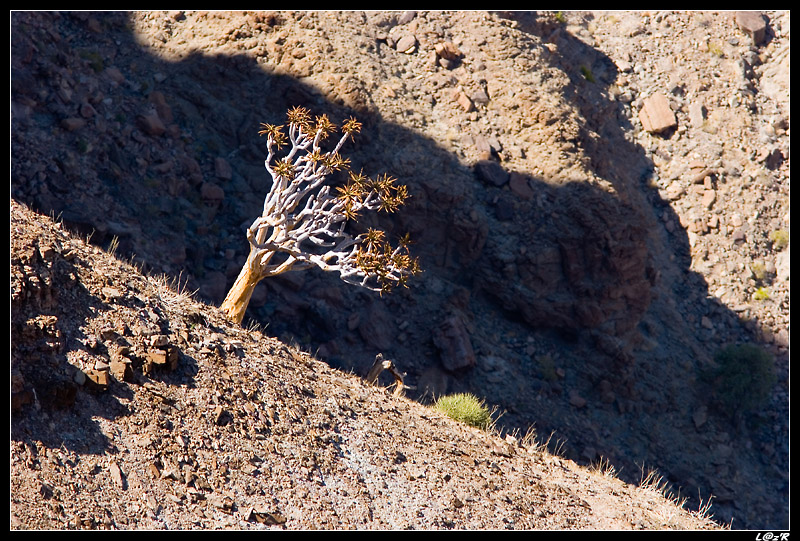 Fish River Canyon