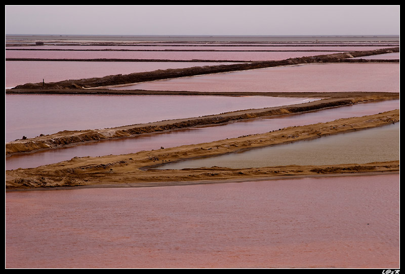 Marais salants