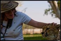 Marie adopte un guépard