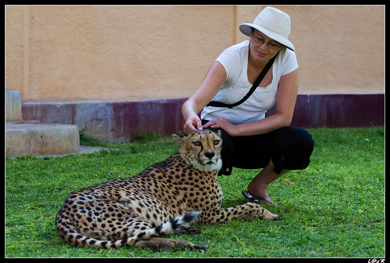 Fatiha adopte un guépard