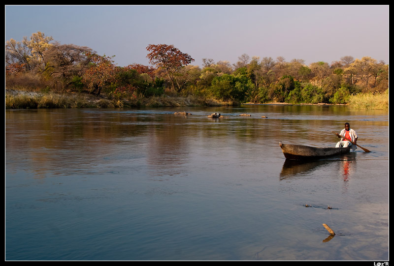 Pirogue sur l'Okavango