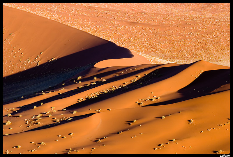 Dunes