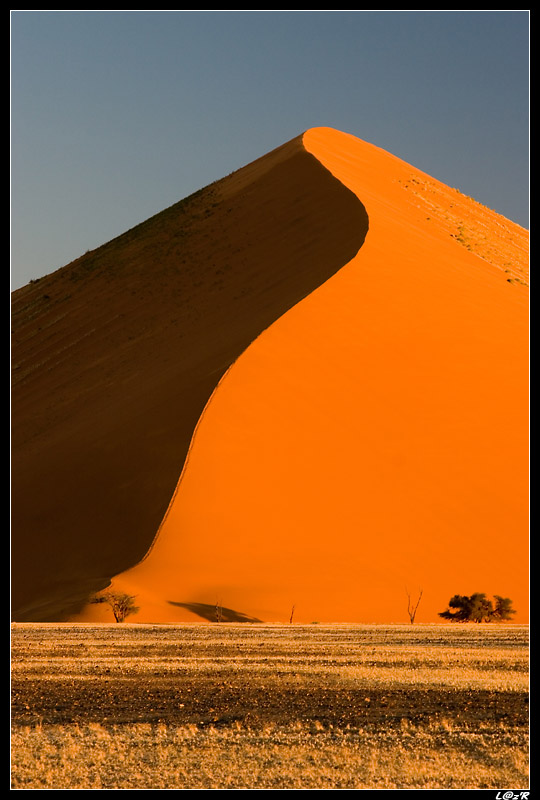 Dune