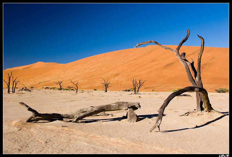 Dead Vlei