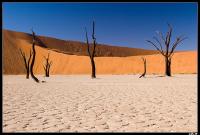 Dead Vlei