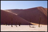 Dead Vlei