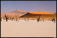 Dead Vlei