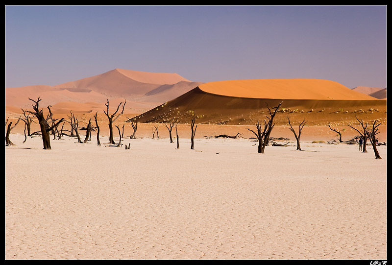 Dead Vlei
